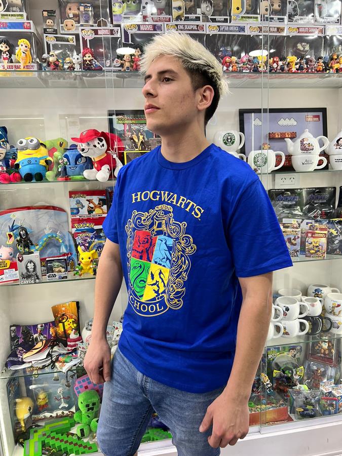 REMERA HARRY POTTER HOGWARTS SCHOOL AZUL TALLE 18/20